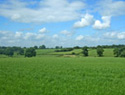 Investment Land for Sale in Balsall Common, Warwickshire