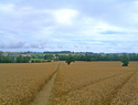 Investment Land for Sale in Folkestone, Kent