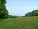 Investment Land for Sale in Tring, Hertfordshire